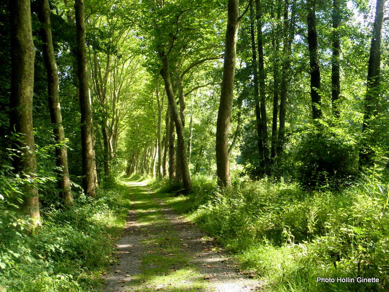 PARC DE L'ABBAYE A LIESSIES DANS LE NORD 