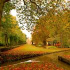 Parc de l'Abbaye de Royaumont