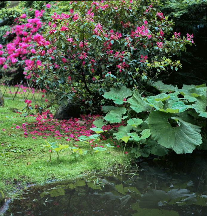 parc de Maulévrier