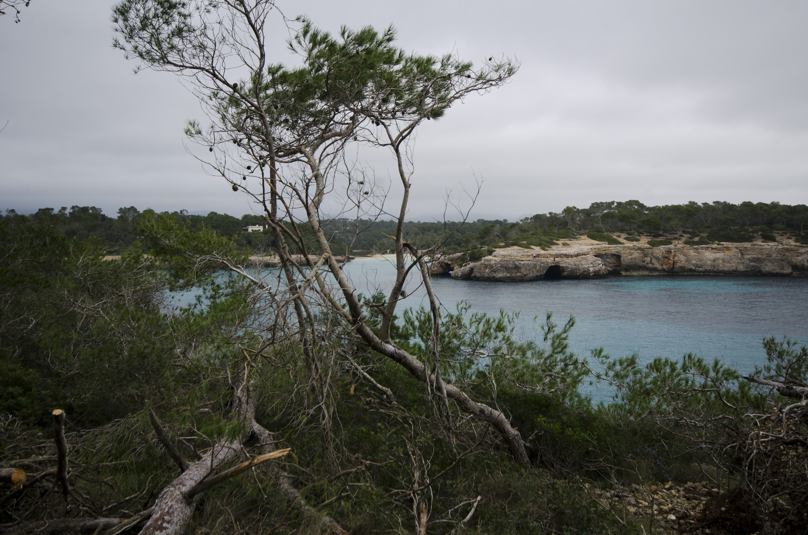 Parc de Mondrago, Mallorca