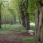 parc de sceaux