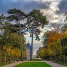 Parc de Sceaux - La promenade du chien