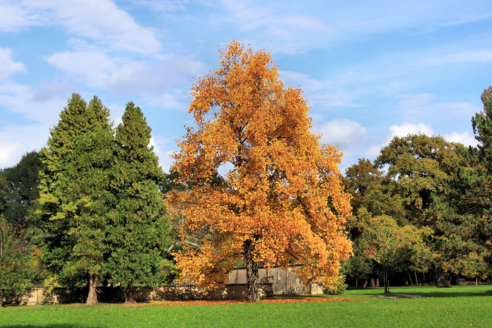 Parc de Schoppenwihr, Herbststimmung