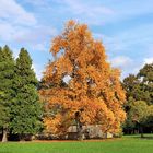 Parc de Schoppenwihr, Herbststimmung