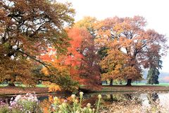 Parc de Schoppenwihr im Festtagsgewand