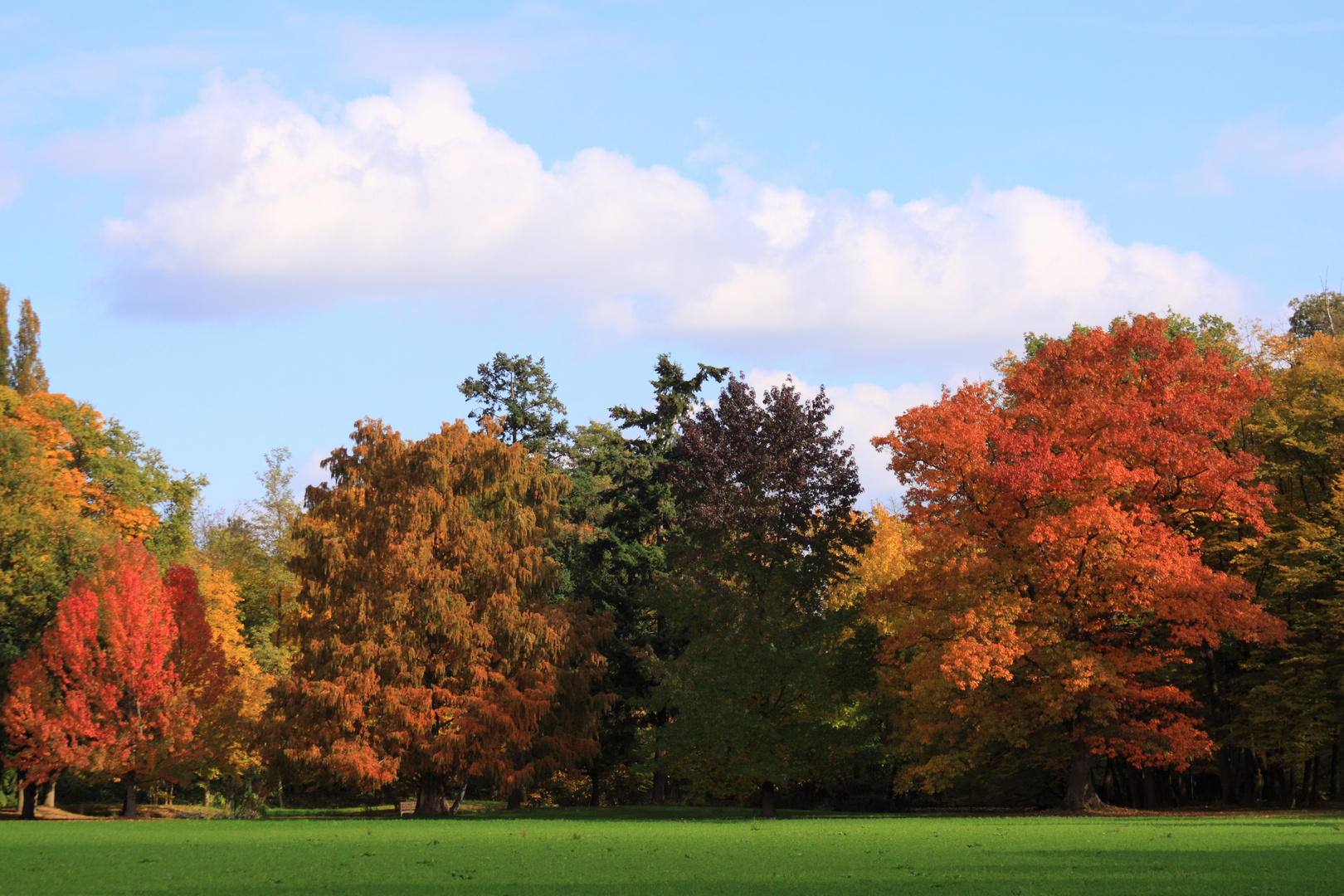 Parc de Schoppenwihr im Herbstkleid