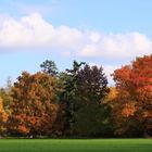 Parc de Schoppenwihr im Herbstkleid