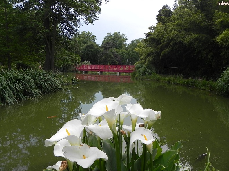 parc de st cyprien 3