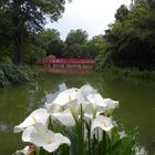 parc de st cyprien 3