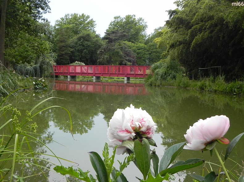 parc de st cyprien 4