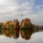 Parc de Tervuren