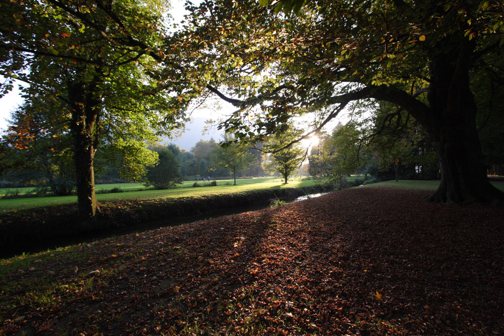 Parc de Vizille 3