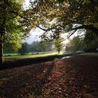 Parc de Vizille 3