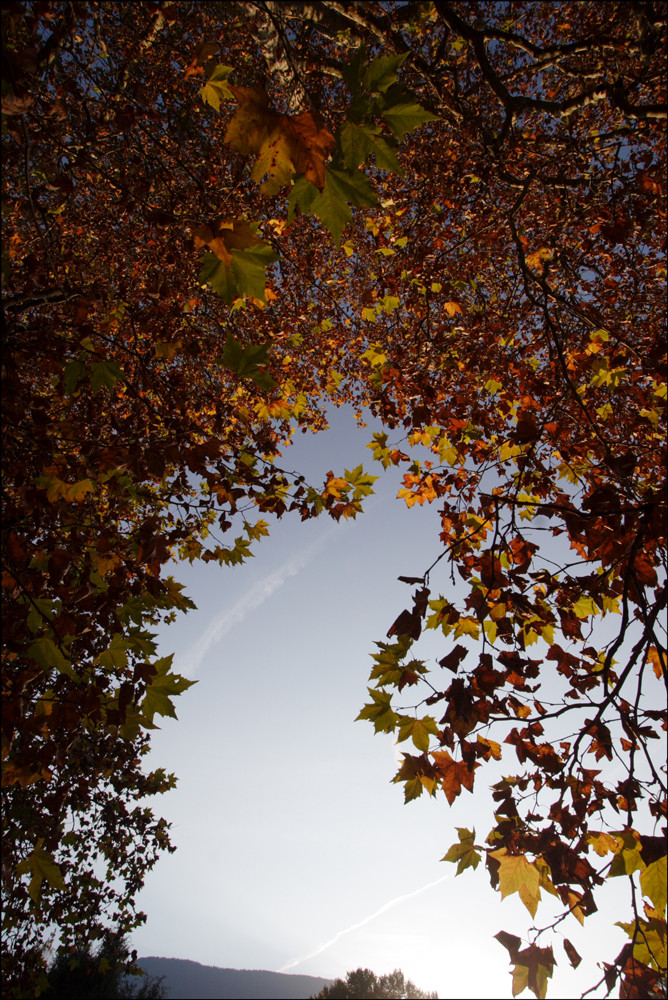 Parc de Vizille