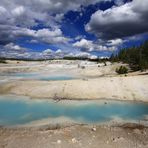 " Parc de Yellowstone "