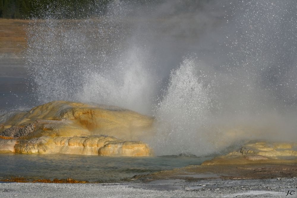 " Parc de Yellowstone "