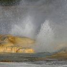 " Parc de Yellowstone "