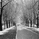 Parc des Bastions, Genève