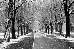 Parc des Bastions, Genève