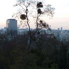 Parc des Beaumonts