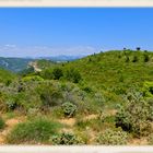 Parc des calanques