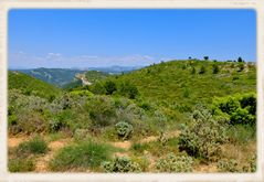 Parc des calanques