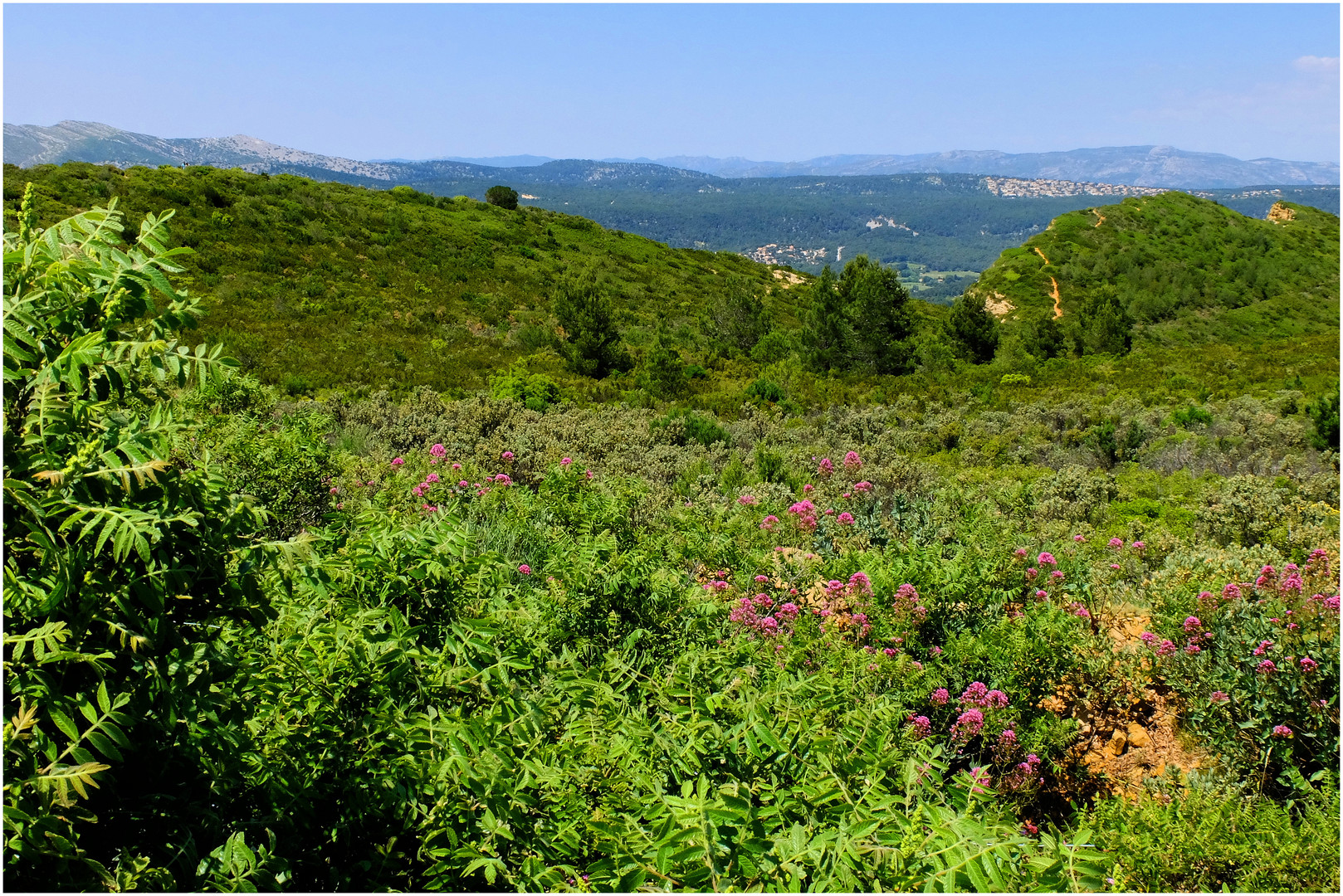 Parc des calanques