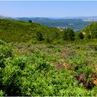 Parc des calanques