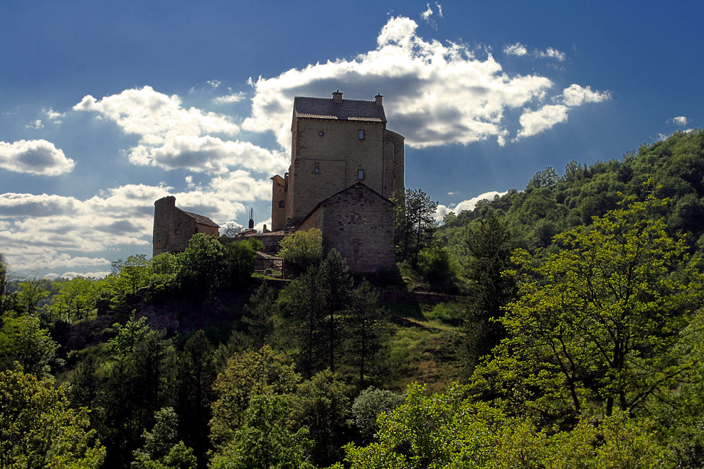 * Parc des Cévennes #1 *