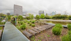 Parc des Geants - 04