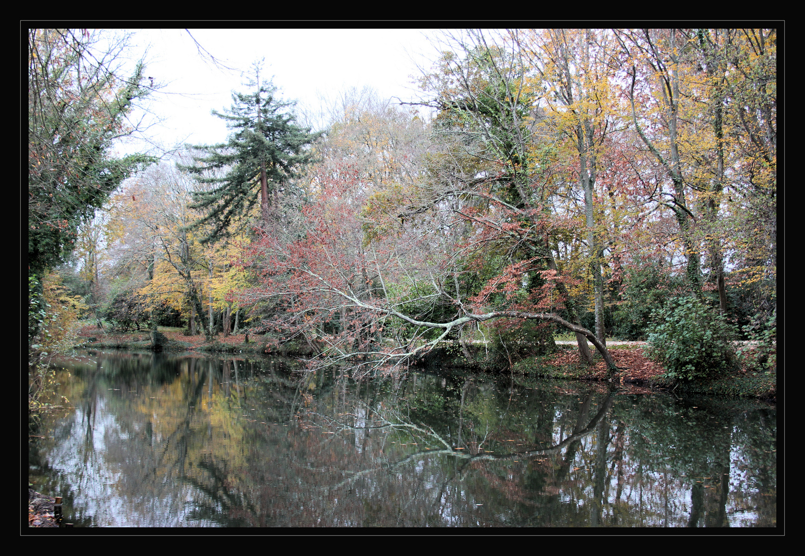 PARC DES GROTTES DE MAJOLAN BORDEAUX