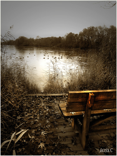 Parc des Oiseaux