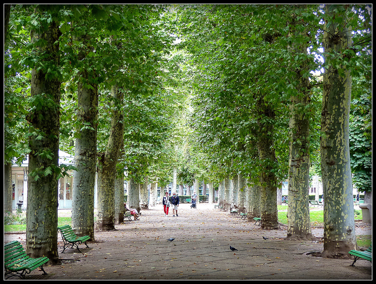 Parc des Thermes 