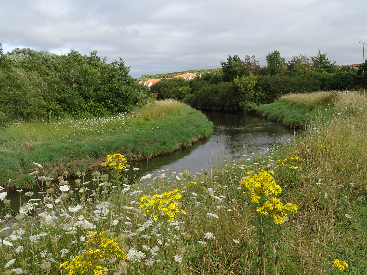 Parc d'Houlouve 