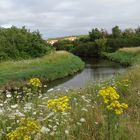 Parc d'Houlouve 