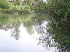 Parc du Bachais