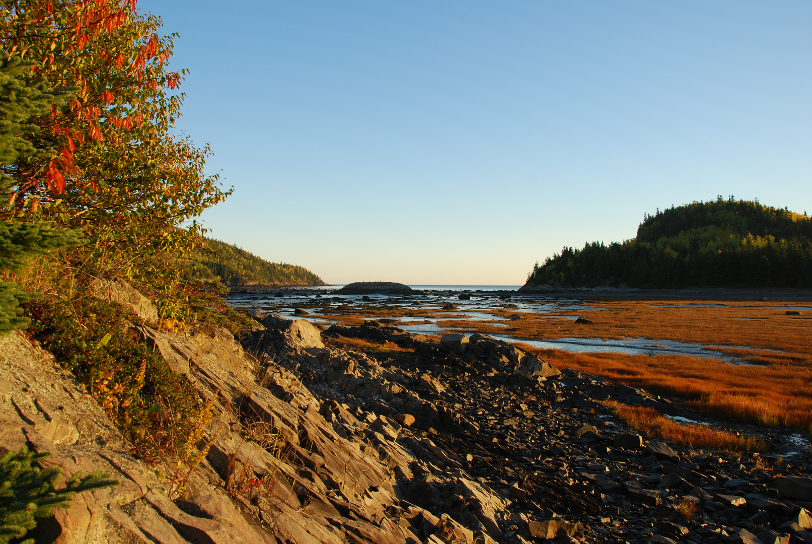 Parc du bic