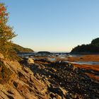 Parc du bic