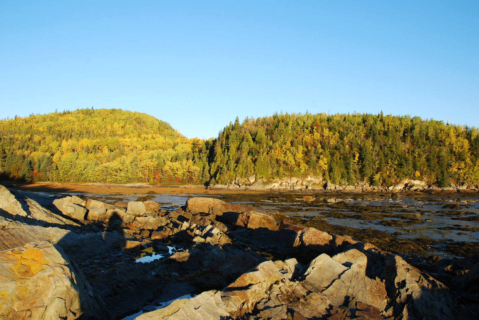 Parc du bic 2