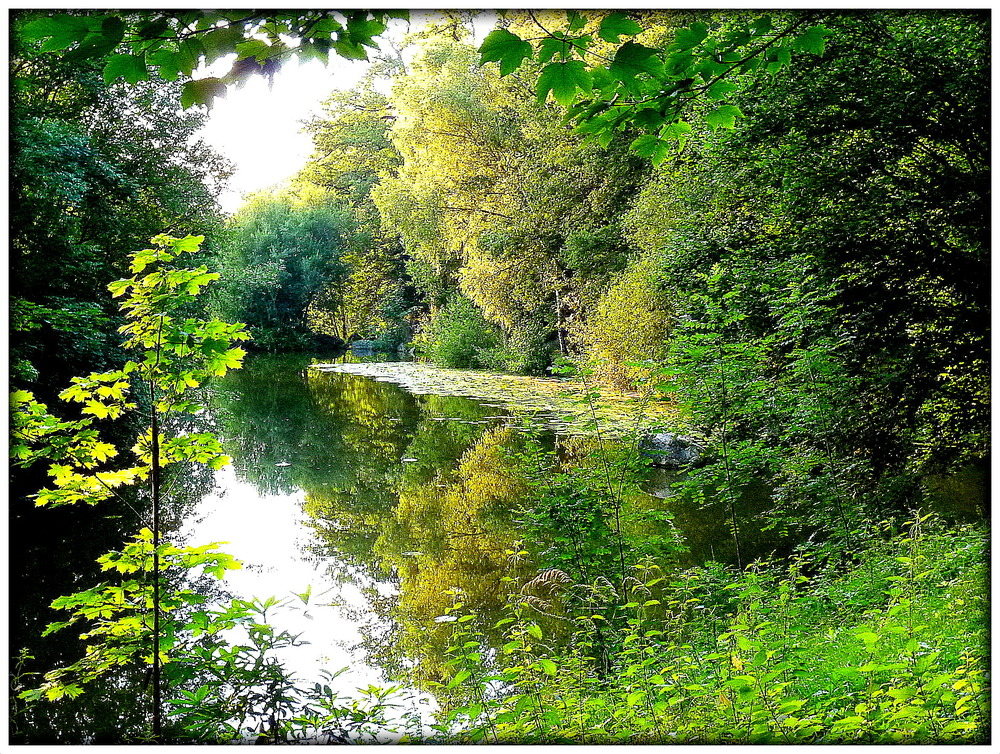 PARC DU CHATEAU Boisniard .