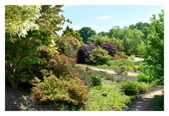 parc du château de la foltière
