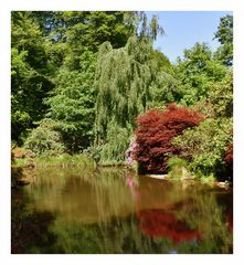 parc du château de la foltière