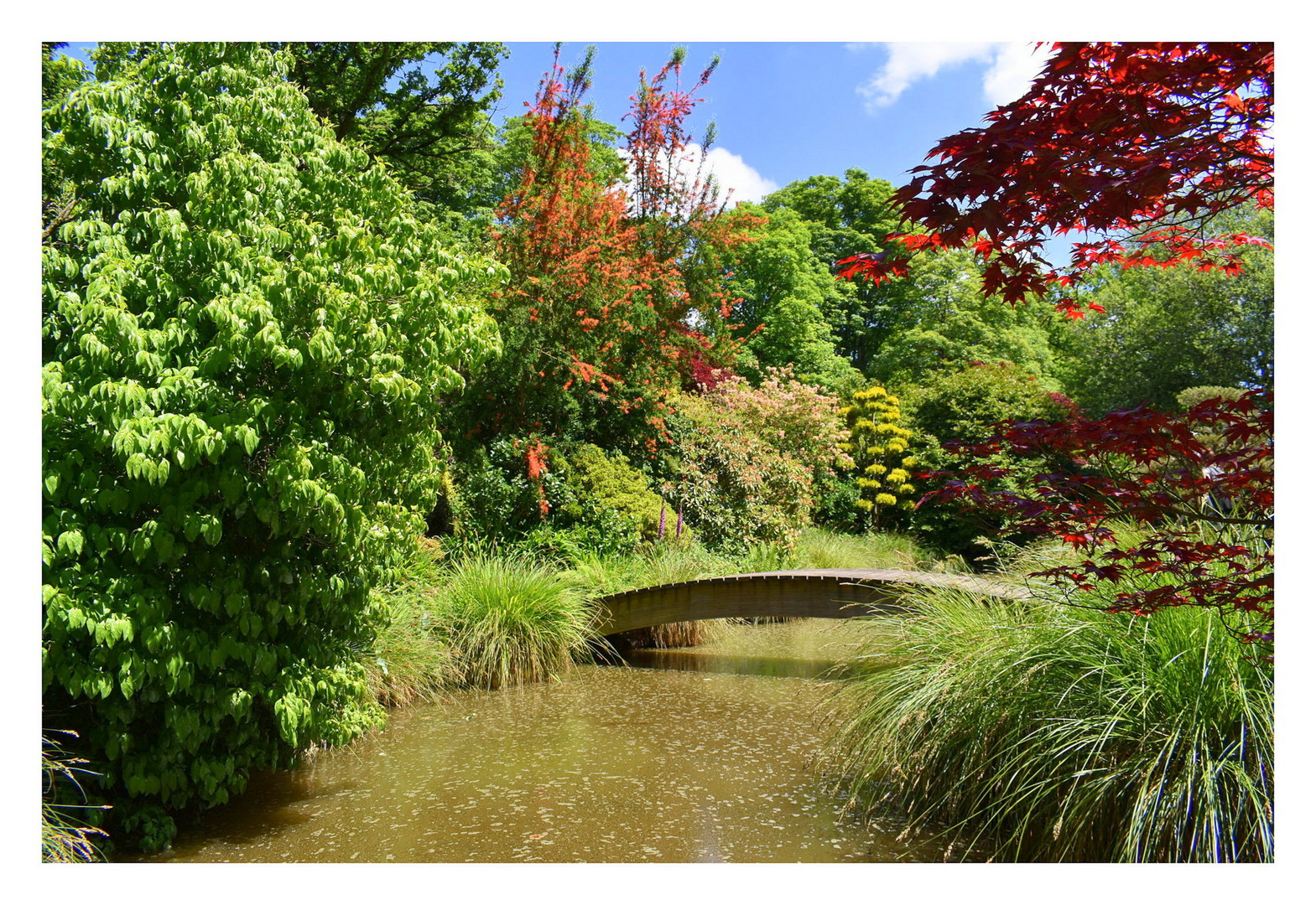 parc du château de la foltière
