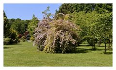 parc du château de la foltière