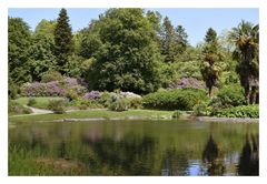 parc du château de la foltière