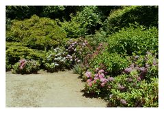 parc du château de la foltière