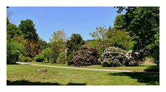 parc du château de la foltière
