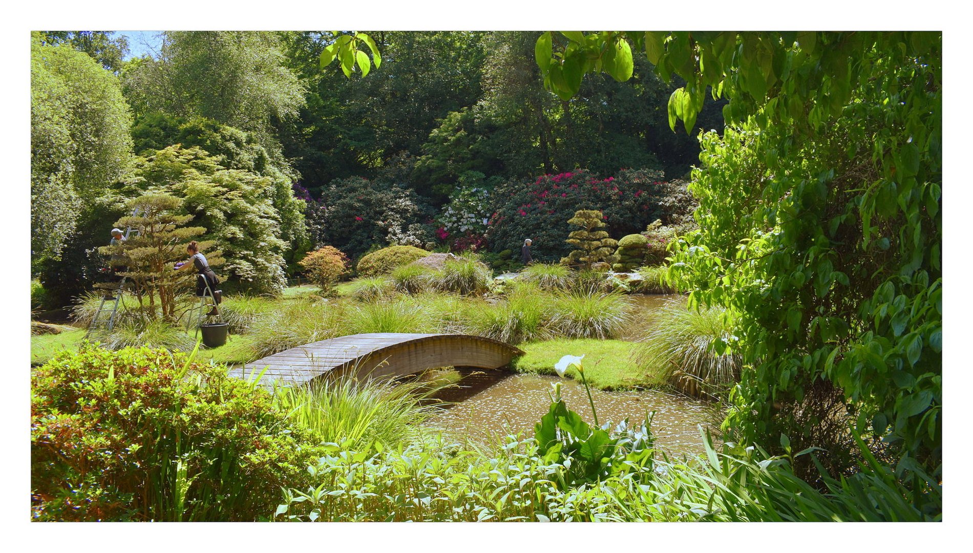 parc du château de la foltière