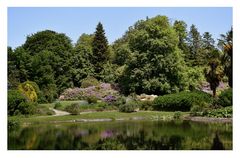 parc du château de la foltière