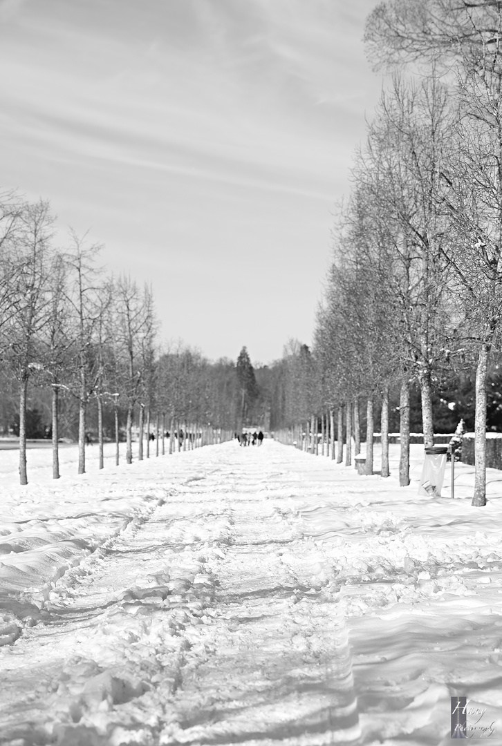 Parc du Château de Rambouillet.